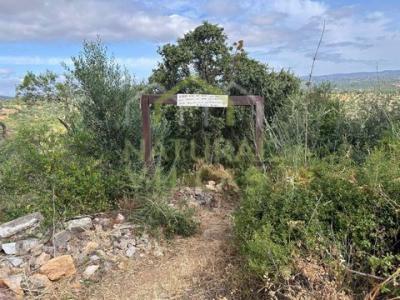 Vente Terrain OLHAO 8700
