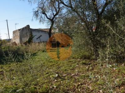 Vente Terrain OLHAO 8700
