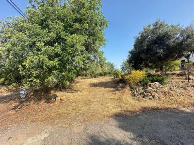 Vente Maison OLHAO 8700