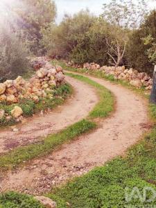 Vente Terrain OLHAO 8700