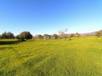 Vente Maison OLHAO 8700