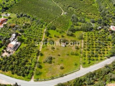 Vente Terrain OLHAO 8700
