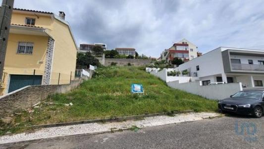 Vente Terrain OLIVAL-BASTO 2620