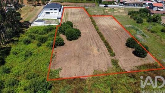 Vente Terrain OLIVEIRA-DO-BAIRRO 3770