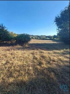 Vente Terrain OLIVEIRA-DO-HOSPITAL 3400