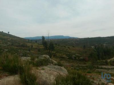 Vente Terrain OLIVEIRA-DO-HOSPITAL 3400