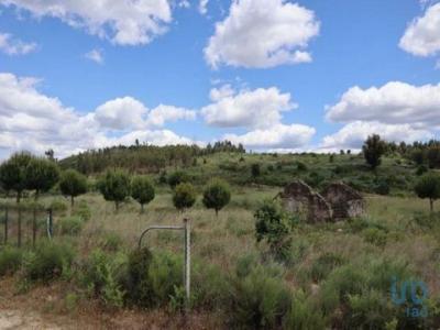 Vente Terrain OLIVEIRA-DO-HOSPITAL 3400