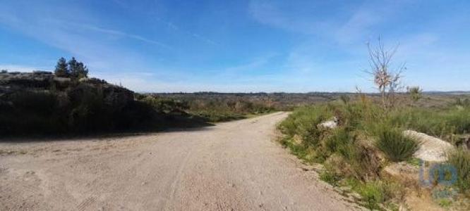 Vente Terrain OLIVEIRA-DO-HOSPITAL 3400