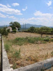 Vente Terrain OLIVEIRA-DO-HOSPITAL 3400