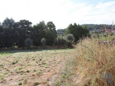 Vente Terrain OLIVEIRA-DO-HOSPITAL 3400