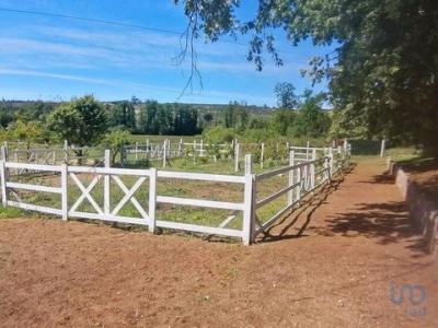 Vente Terrain OLIVEIRA-DO-HOSPITAL 3400