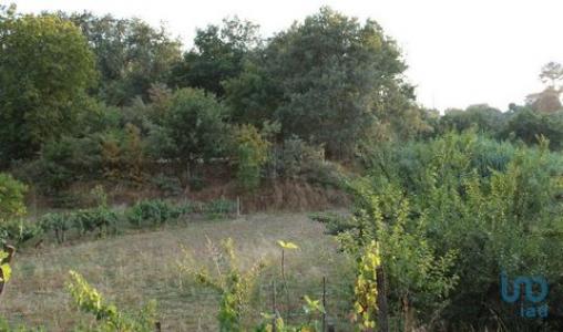 Vente Terrain OLIVEIRA-DO-HOSPITAL 3400