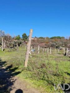 Vente Terrain OLIVEIRA-DO-HOSPITAL 3400