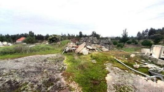 Vente Terrain OLIVEIRA-DO-HOSPITAL 3400