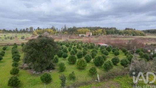 Vente Terrain OLIVEIRA-DO-HOSPITAL 3400