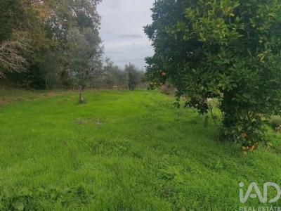 Vente Maison OLIVEIRA-DO-HOSPITAL 3400