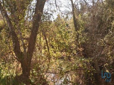 Vente Terrain OUREM 2490