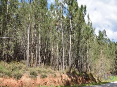 Vente Terrain OUREM 2490