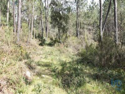 Vente Terrain OUREM 2490