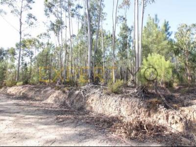 Vente Terrain OUREM 2490
