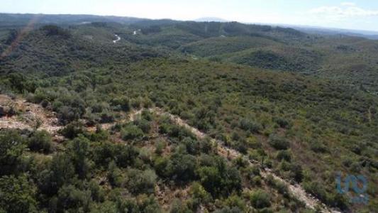 Vente Terrain OUREM 2490