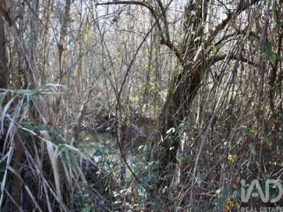 Vente Terrain OUREM 2490