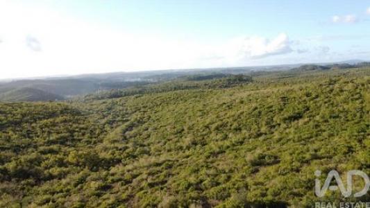 Vente Terrain OUREM 2490