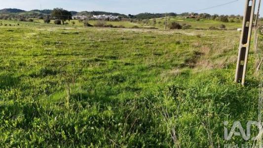 Vente Terrain OURIQUE 7670