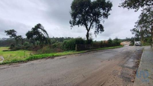 Vente Terrain OVAR 3880