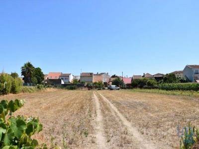 Vente Terrain OVAR 3880