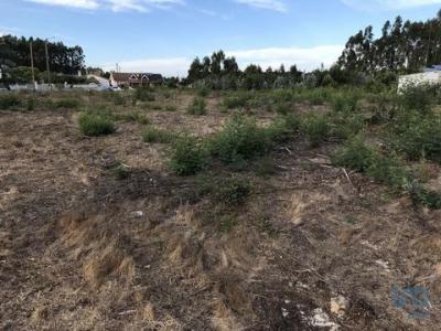 Vente Terrain OVAR 3880