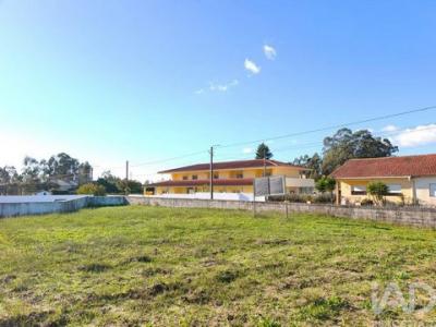 Vente Terrain OVAR 3880