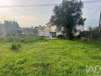 Vente Terrain OVAR 3880