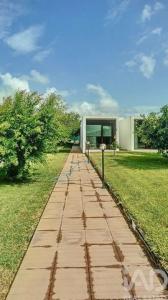 Vente Maison OVAR 3880