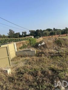 Vente Terrain OVAR 3880