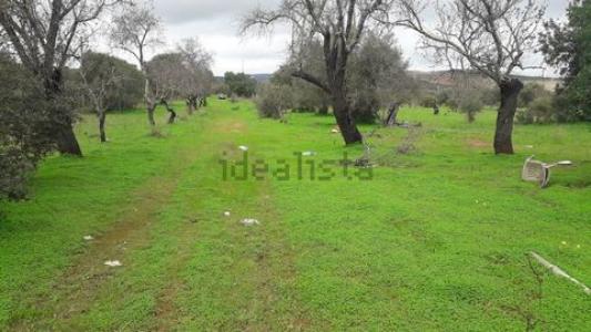 Vente Terrain PADERNE 8200