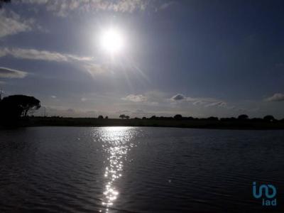 Vente Terrain PALMELA 2950