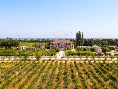 Vente Maison PALMELA 2950