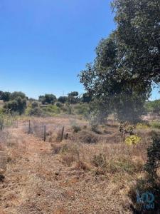 Vente Terrain PALMELA 2950