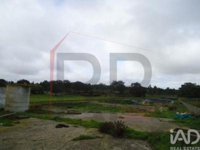 Vente Terrain PALMELA 2950