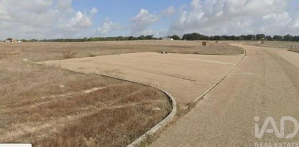 Vente Terrain PALMELA 2950