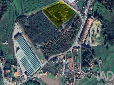 Vente Terrain PAREDES 3730