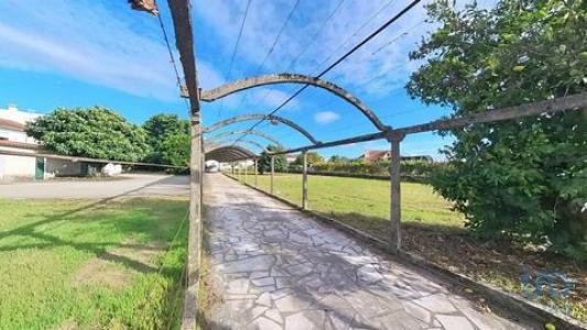 Vente Maison PEDROGAO-GRANDE 3270