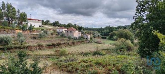 Vente Maison 7 pices PEDROGAO-GRANDE 3270