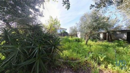 Vente Terrain PEDROGAO-GRANDE 3270