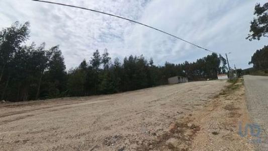Vente Maison PEDROGAO-GRANDE 3270