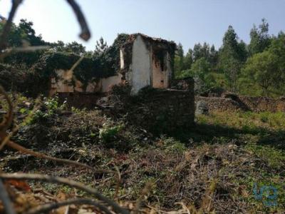 Vente Maison 2 pices PEDROGAO-GRANDE 3270
