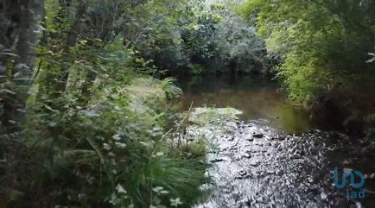 Vente Maison 2 pi�ces PEDROGAO-GRANDE 3270