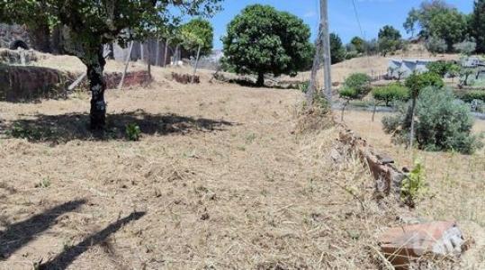 Vente Terrain PEDROGAO-GRANDE 3270