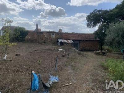 Vente Maison PEDROGAO-GRANDE 3270